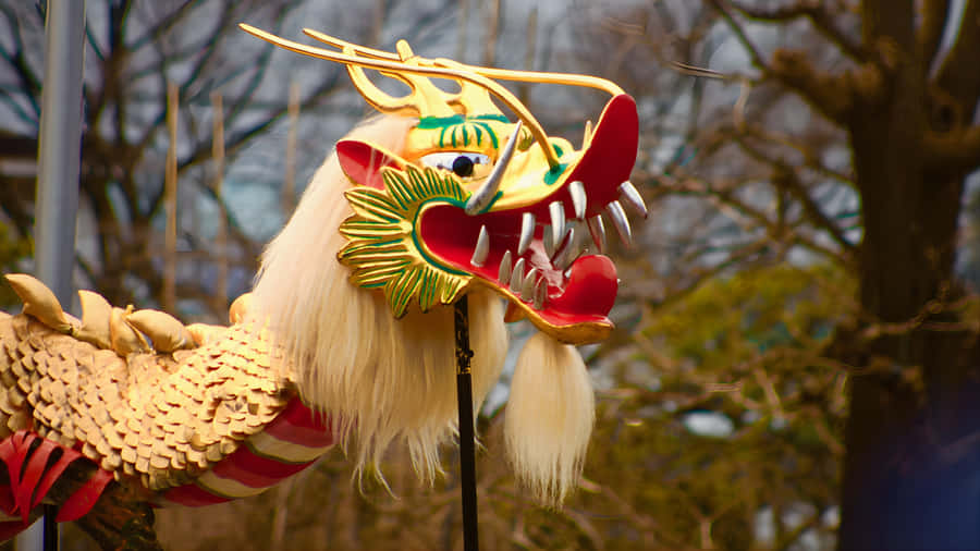 Traditional Dragon Dance Costume Wallpaper