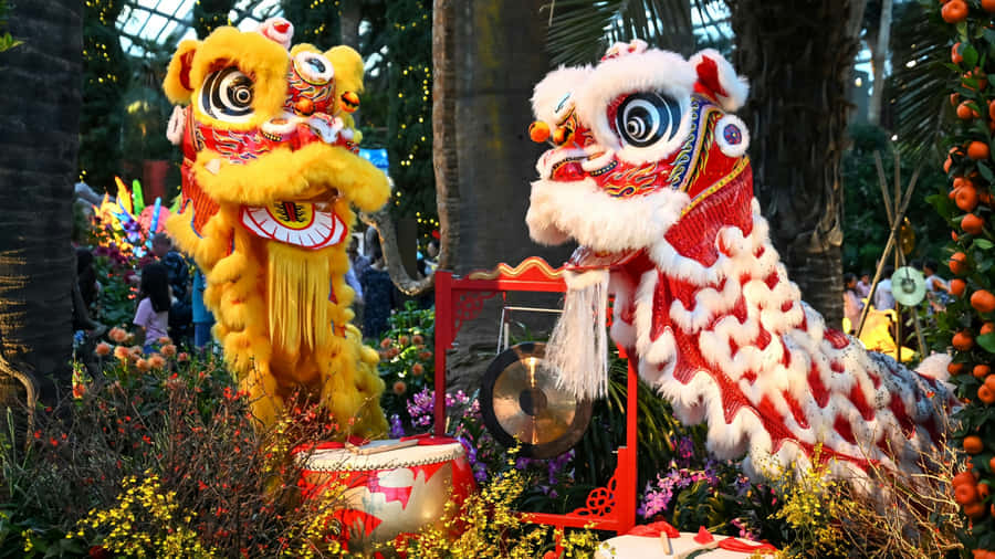 Traditional Lion Dance Performance Wallpaper