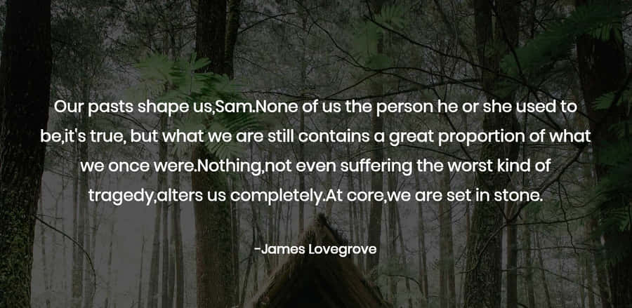 Tragedy Quote Forest Backdrop Wallpaper