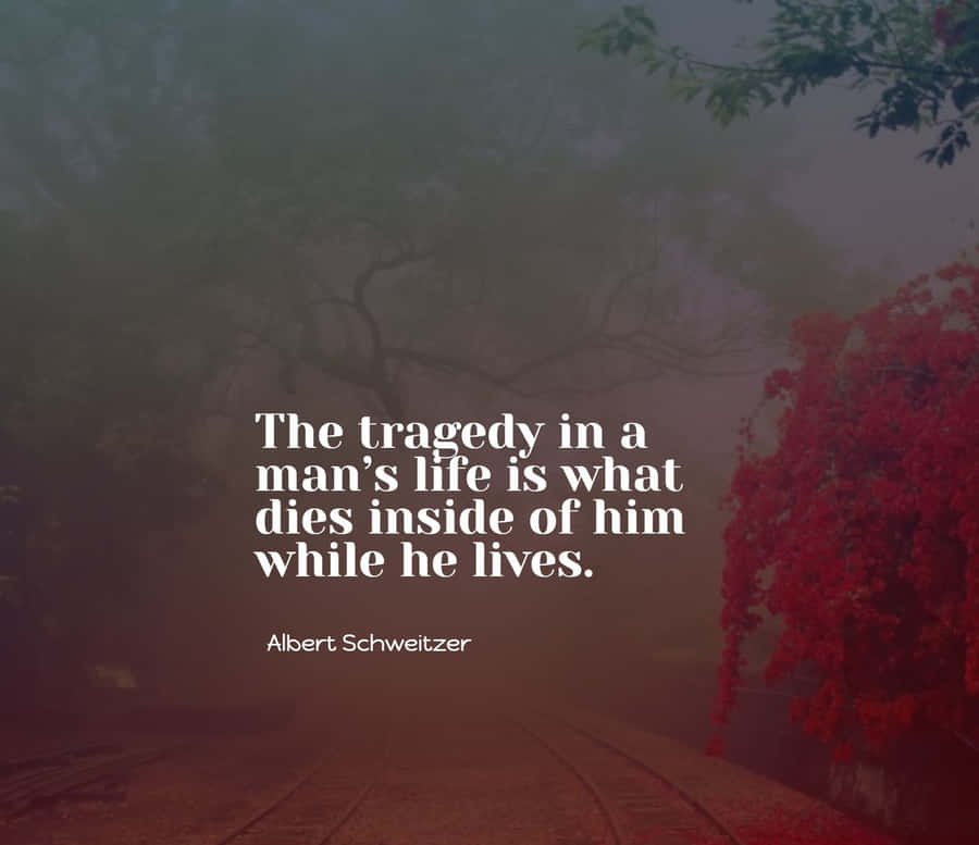 Tragedyof Life Quote Albert Schweitzer Wallpaper