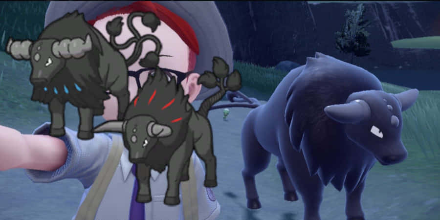 Trainer Selfie With Paldean Tauros Wallpaper