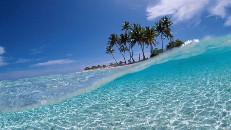 Tranquil Bahamas Beach Paradise Wallpaper