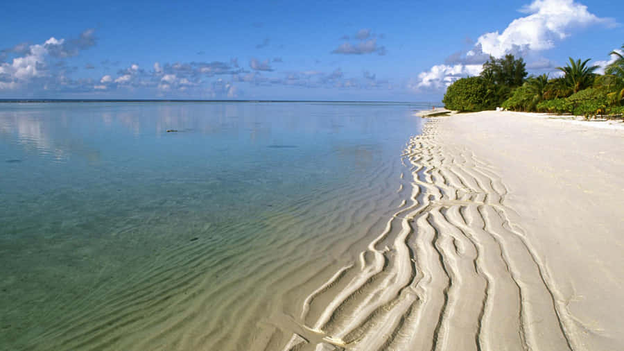 Tranquil Beach Sand Ripples Wallpaper