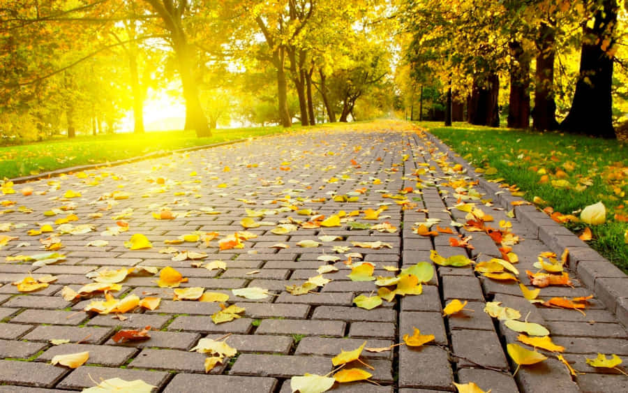 Tranquil Fall Scenery Wallpaper