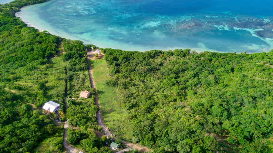 Tranquil Fiji Beach With Crystal Clear Waters Wallpaper