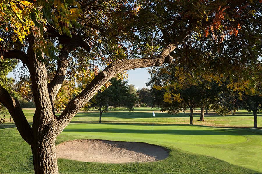 Tranquil Sunset Over The Horizon Wallpaper