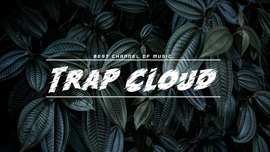 Trap Cloud_ Music_ Channel_ Background Wallpaper