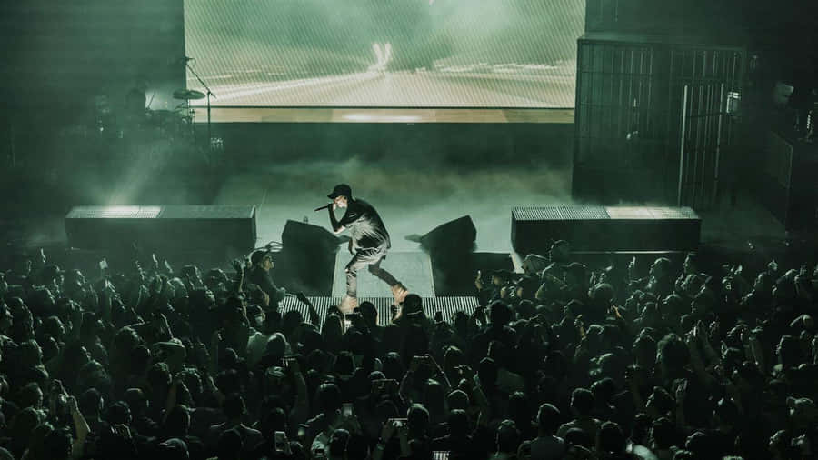 Tree Branches Reflecting On Water Surface Wallpaper