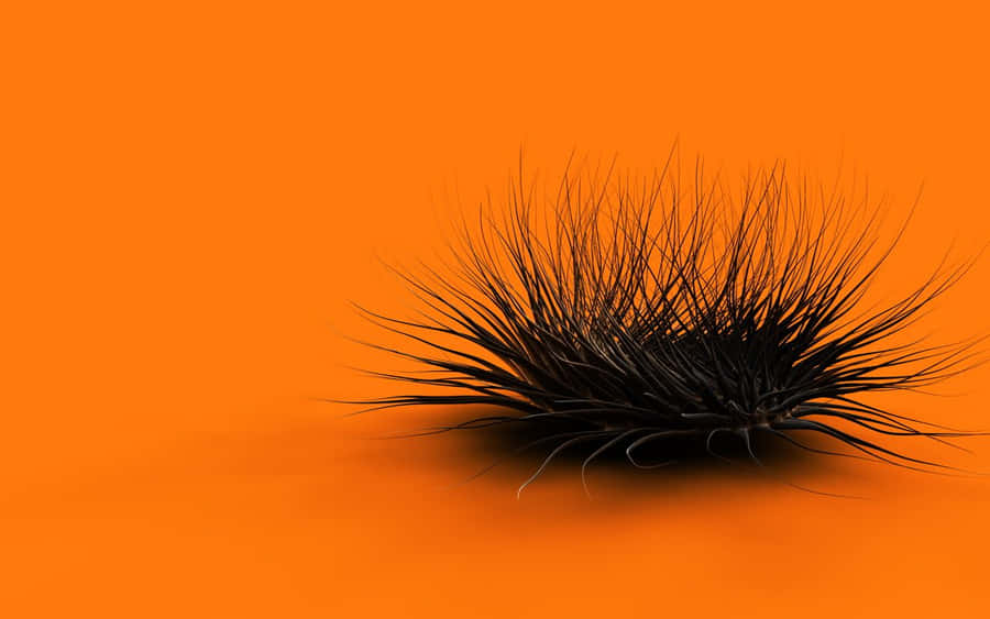 Tremendous Thorns Of A Strange Creature Wallpaper
