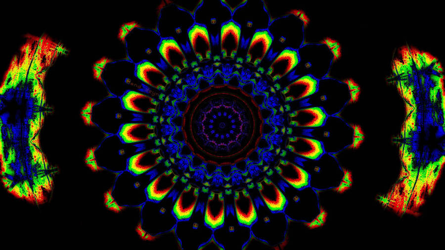 Trippy Dark Aesthetic Flower Art Wallpaper