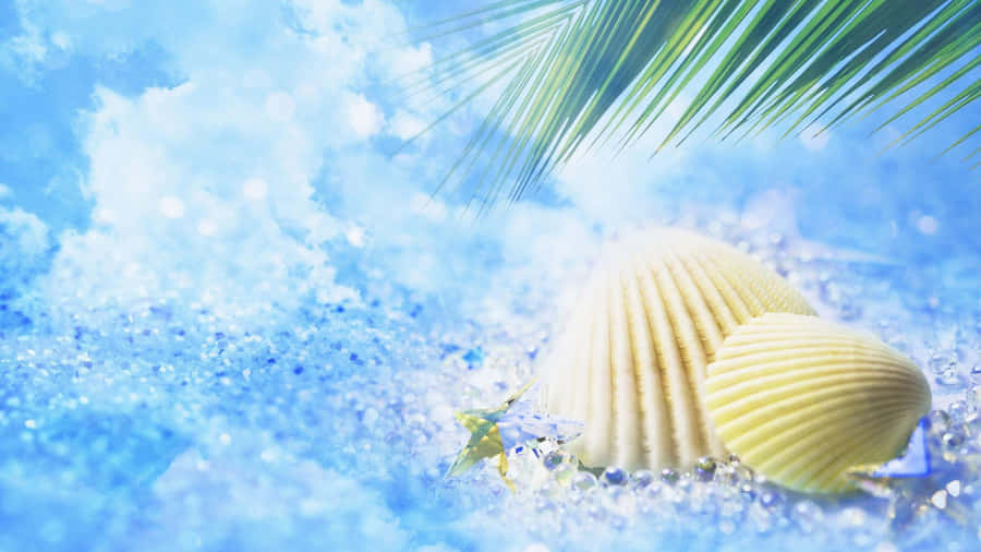 Tropical Beach Cockle Shells Wallpaper