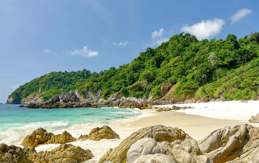 Tropical Beach Paradise Wallpaper