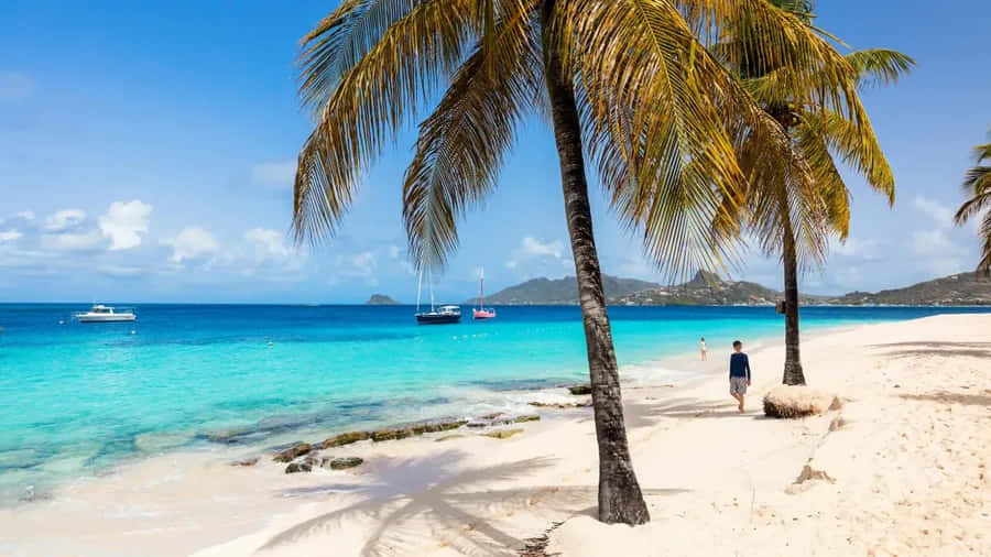 Tropical Beach Saint Vincent And The Grenadines Wallpaper