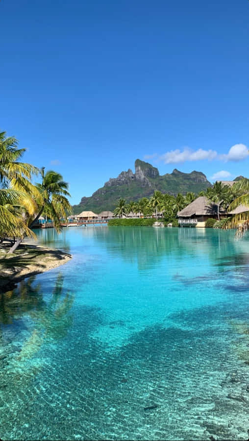 Tropical Paradise In Bora Bora Wallpaper