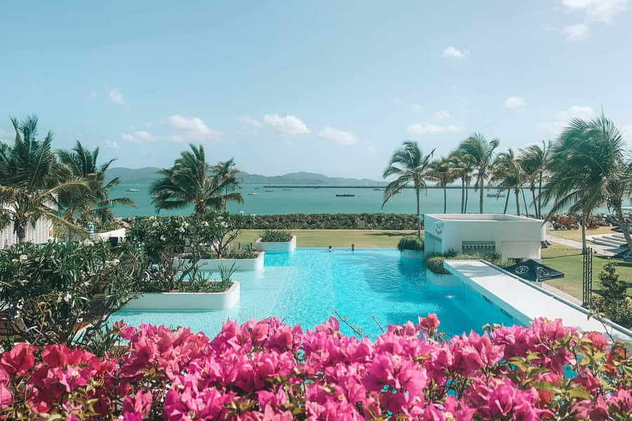 Tropical Resort View Townsville Wallpaper