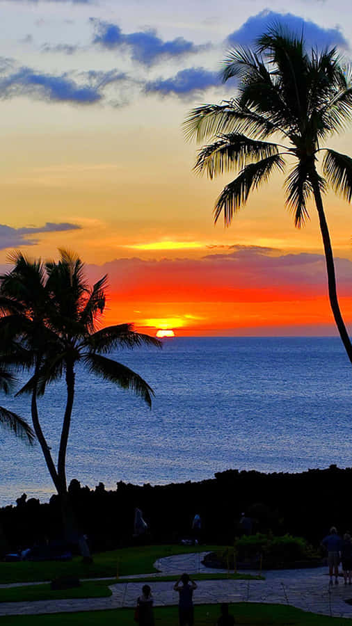 Tropical Sunset Vacation Resort Wallpaper