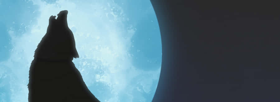 Tsume, The Lone Wolf In The Vast Landscape Wallpaper