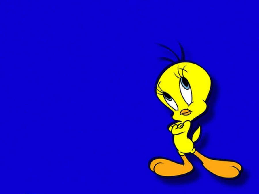 Tweety Bird 1920 X 1440 Wallpaper