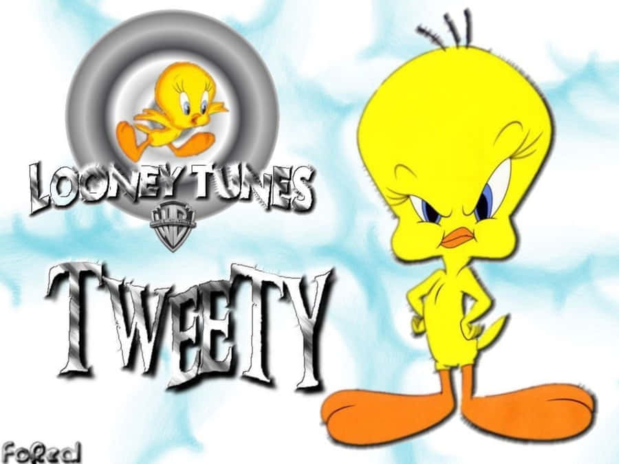 Tweety Bird Wallpaper