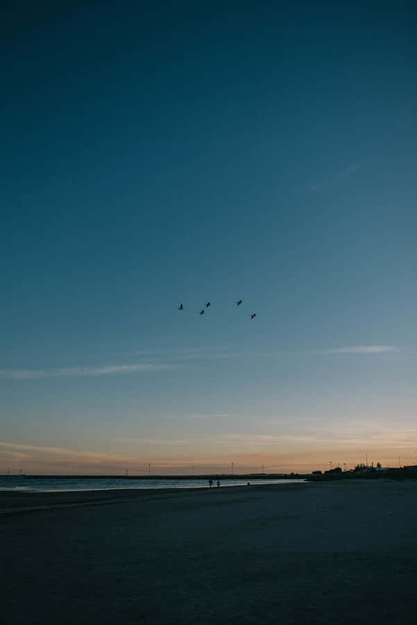 Twilight Beach Silhouetteswith Birds Wallpaper