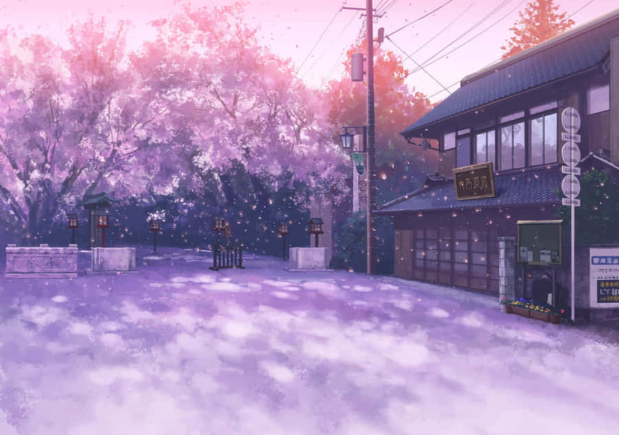 Twilight Cherry Blossoms Anime Scene Wallpaper