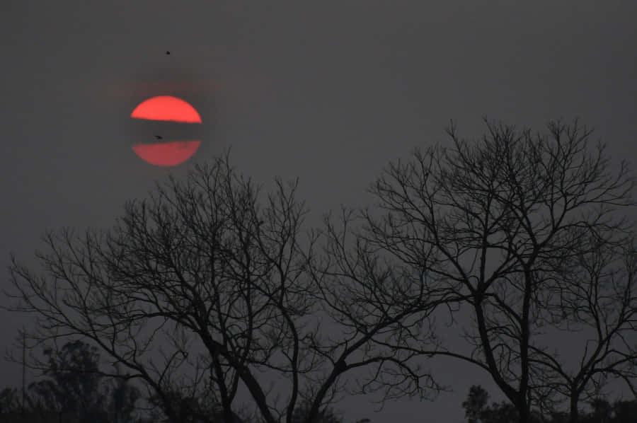 Twilight Red Sun Through Haze Wallpaper