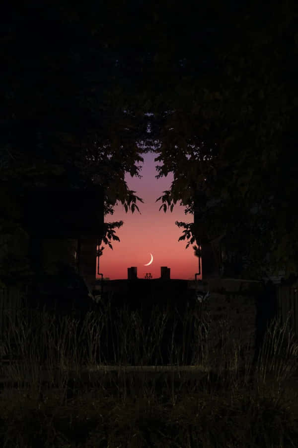 Twilight Silhouette Nature Scene Wallpaper