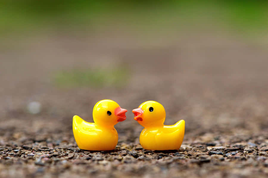 Two Rubber Ducks Together.jpg Wallpaper