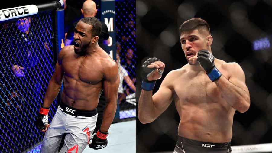 U F C Fighters Geoff Nealand Opponent Wallpaper