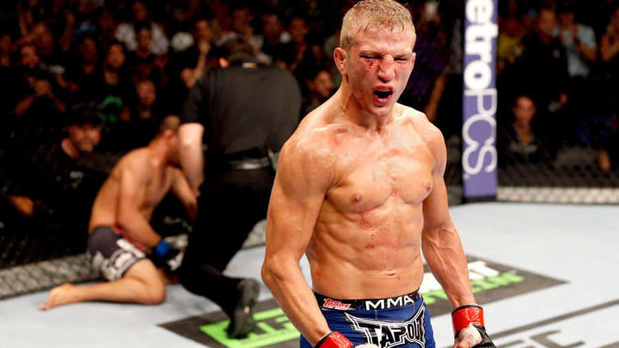 Ufc 177: Tj Dillashaw Vs. Soto Wallpaper