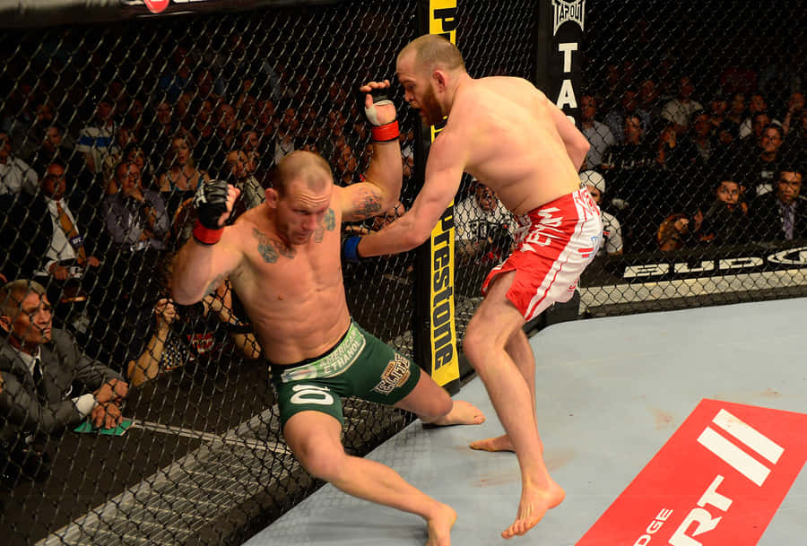 Ufc Fight Gray Maynard And T.j. Grant Wallpaper