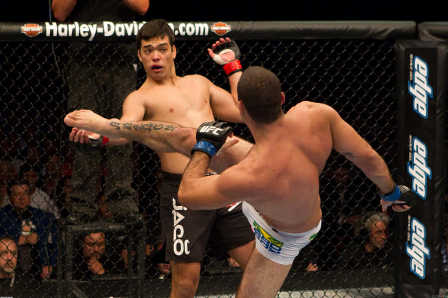 Ufc Fight Lyoto Machida Vs Mauricio Rua Wallpaper