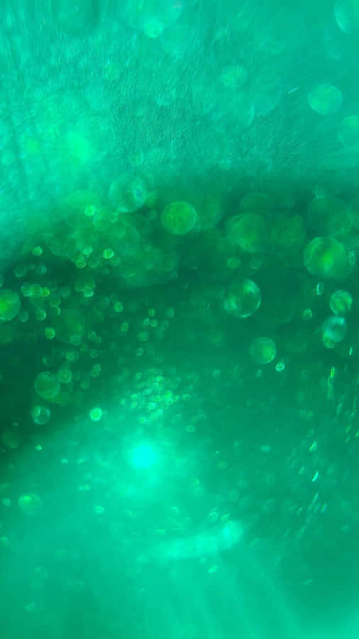 Underwater Jellyfish In The Ocean Wallpaper