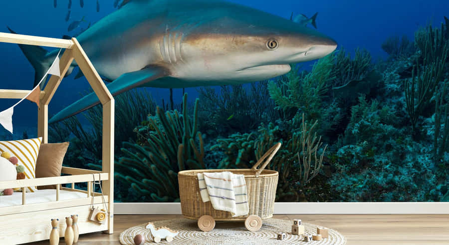 Underwater Shark Wallpaperin Bedroom Scene Wallpaper