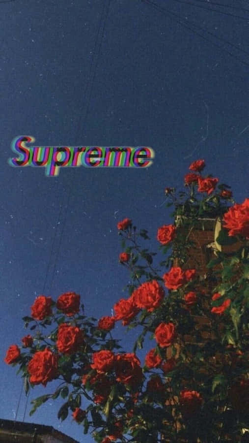 Unique Dope Tumblr Iphone Background Wallpaper