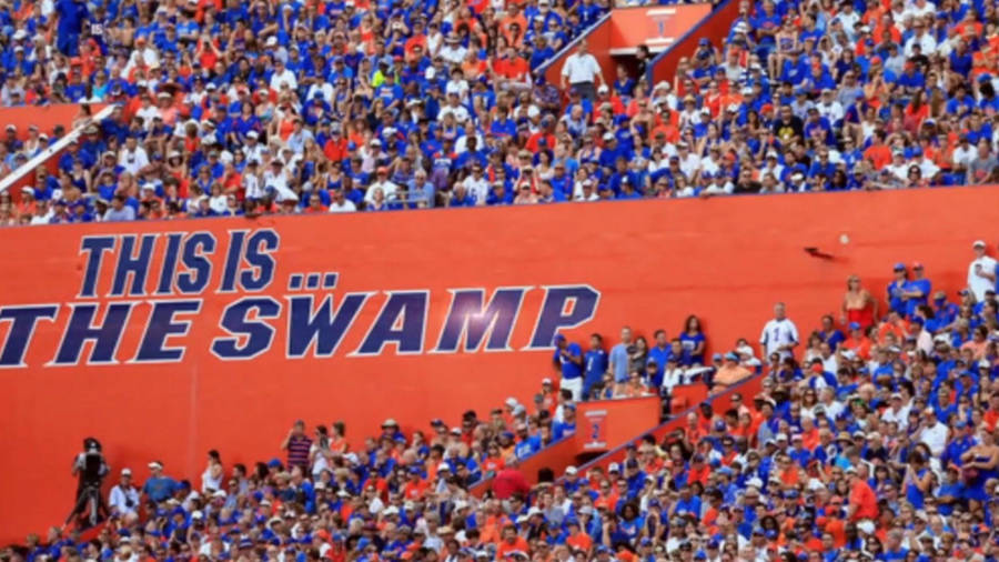 University Of Florida Football Field Wallpaper