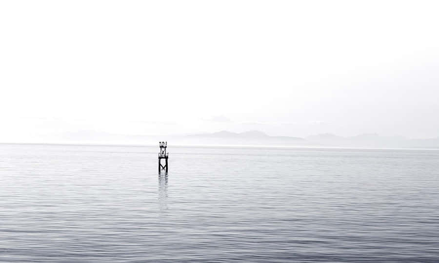 Unwavering Tides Wallpaper