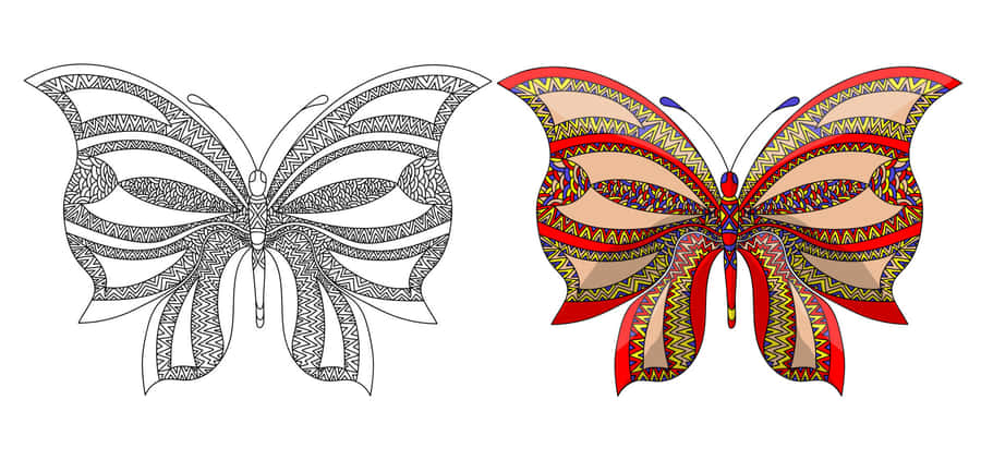 Update Your Walls With Bright Butterfly Coloring Pages Wallpaper