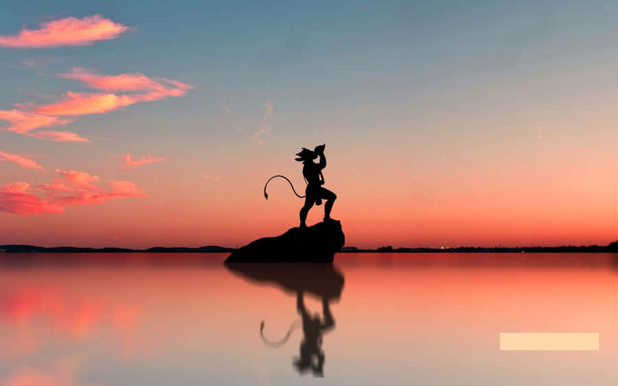 Vapid Silhouette On A Rock Wallpaper