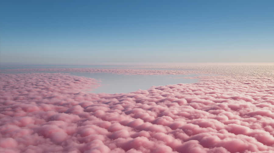 Vast Expanse Of Fluffy Pink Clouds Under Clear Blue Sky Wallpaper