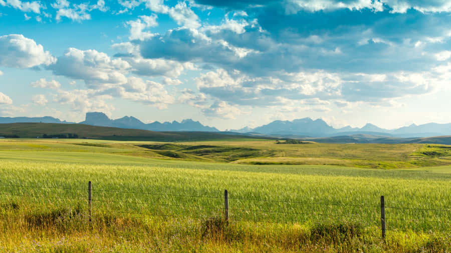 Vast Green Farmland Landscape Wallpaper