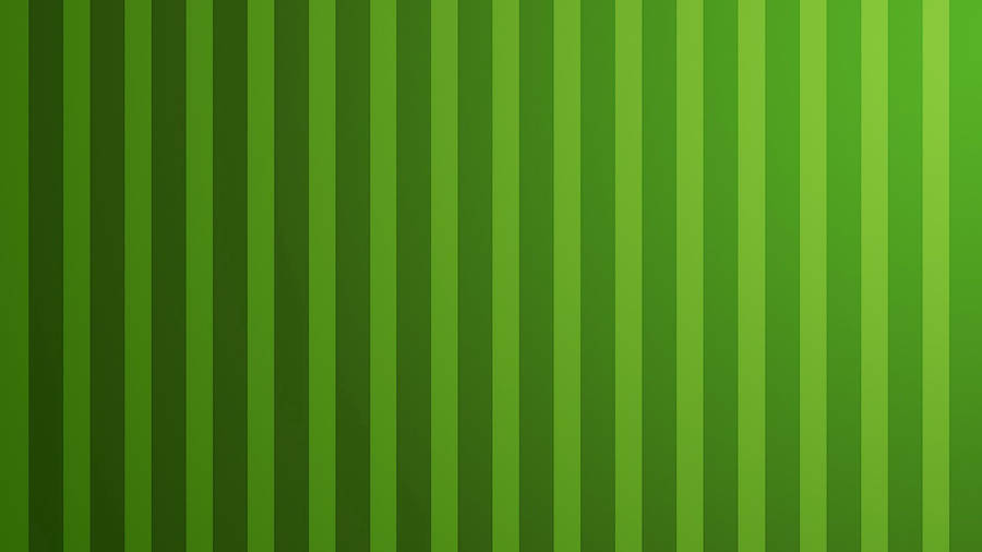 Vertical Green Lines Wallpaper