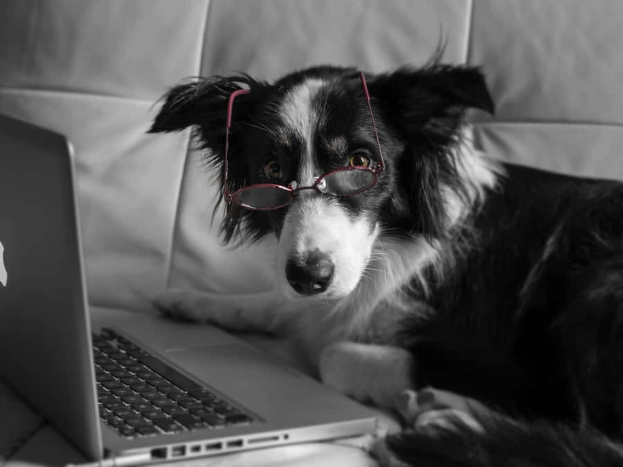 Vibrant And Serene Mountain Scenes Wallpaper