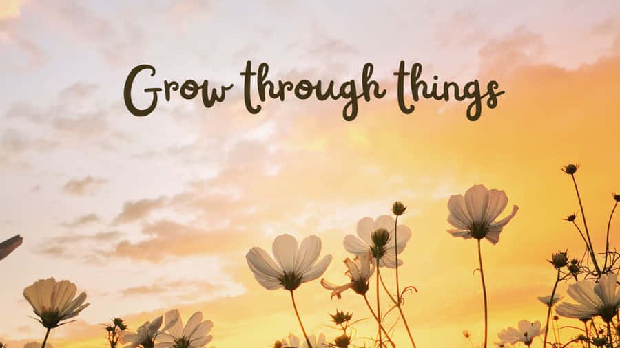 Vibrant Autumn Forest Wallpaper