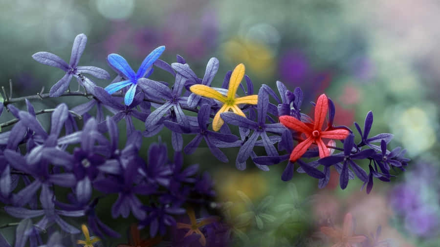 Vibrant Bouquet Of Colorful Flowers Wallpaper