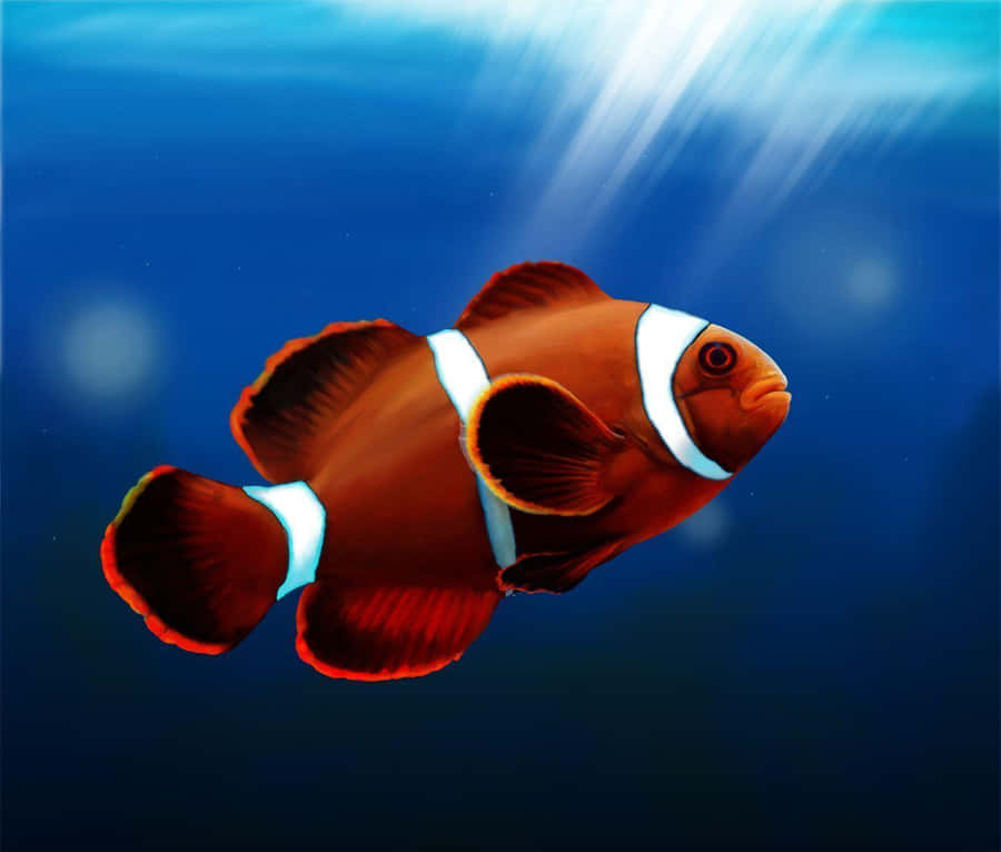 Vibrant Clownfish Exploring Coral Reefs Wallpaper