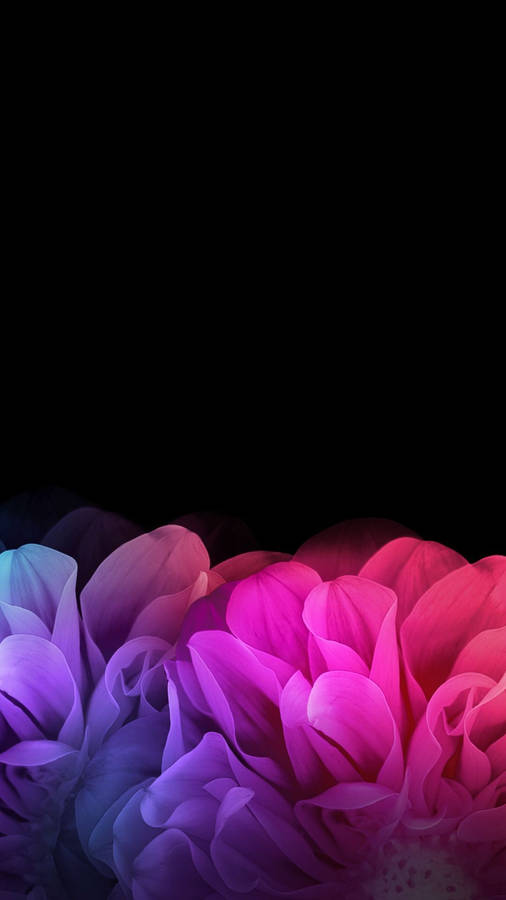 Vibrant Dark Pink Floral Wallpaper