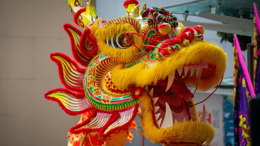 Vibrant Dragon Dance Head Wallpaper