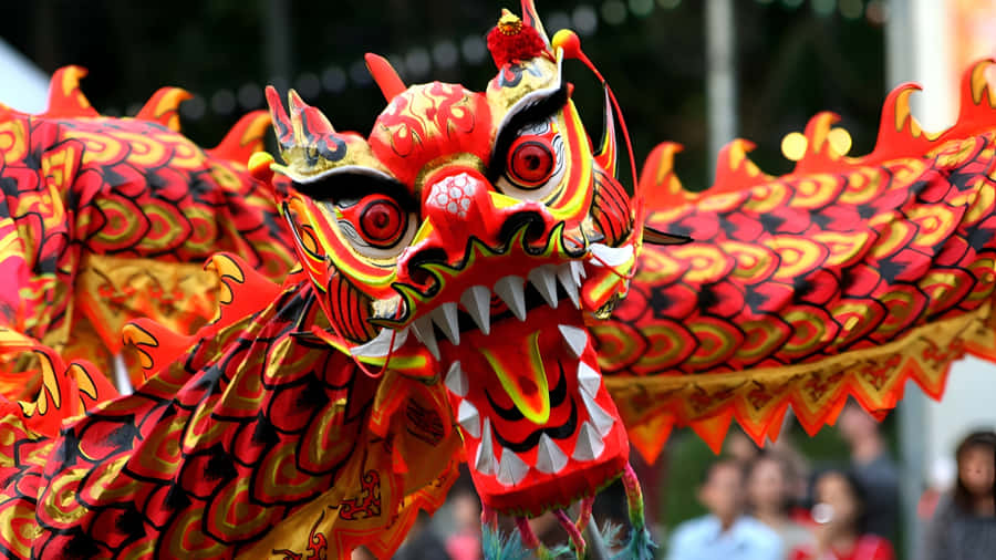Vibrant Dragon Dance Performance Wallpaper