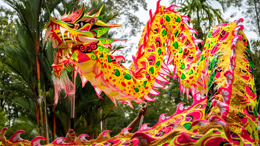Vibrant Dragon Dance Performance Wallpaper